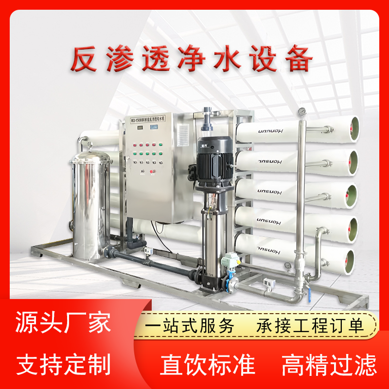 30吨大型反渗透设备 矿泉水厂直饮水设备 EDI超纯水设备 云南厂家