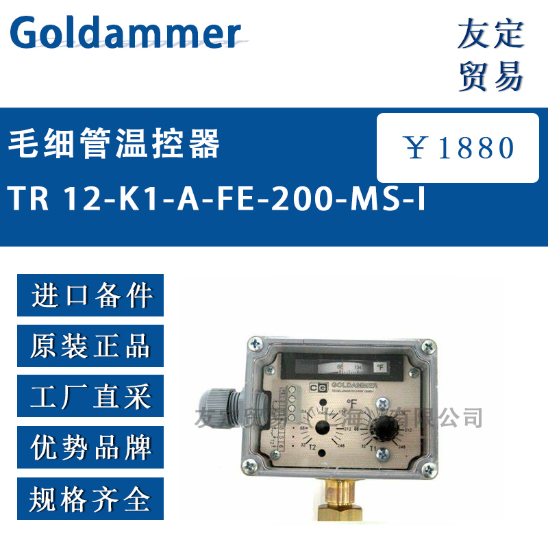 Goldammer TR 12-K1-A-FE-200-MS-I毛细管温控器