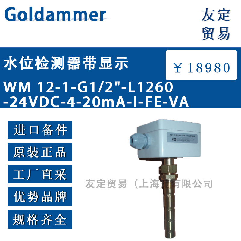 Goldammer WM 12-1-G1/2-L1260-24VDC-4-20mA-I水位检测器带显示