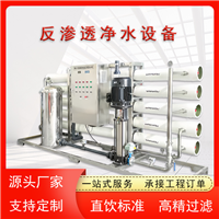 30吨大型反渗透设备 矿泉水厂直饮水设备 EDI超纯水设备 云南厂家