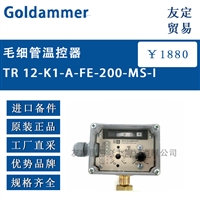 Goldammer TR 12-K1-A-FE-200-MS-I毛细管温控器