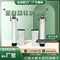 商业软化水设备 工业锅炉游泳馆 软化水去水垢钙镁离子 前置过滤器