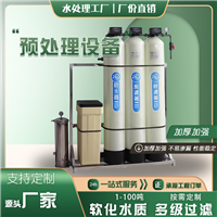 自来水预处理设备 工业锅炉软化水器 井水地下水 泥沙前置过滤器