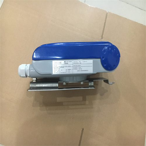  科隆涡街流量计VFM1091G\DN250\951