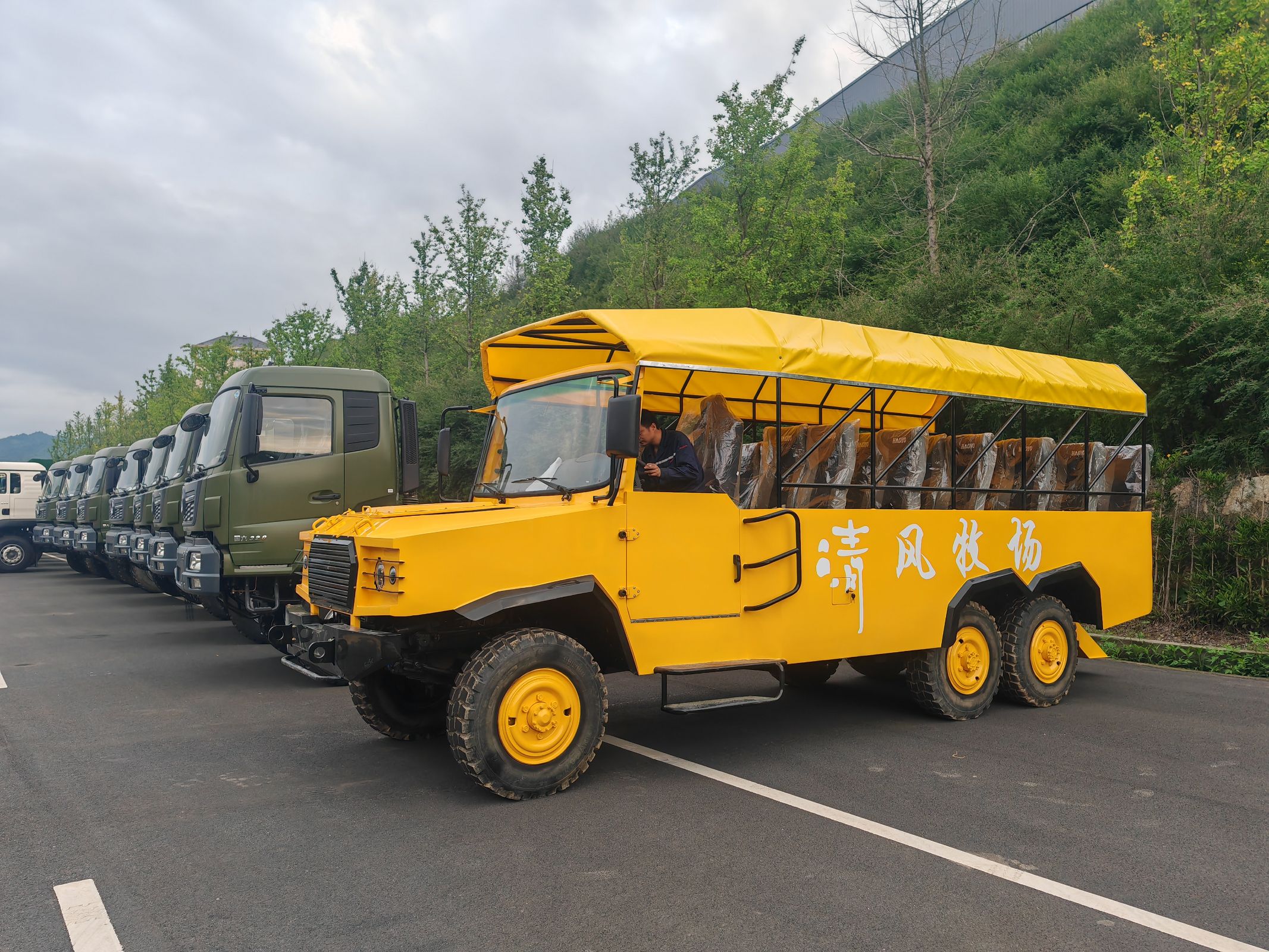 敞篷观光车价格及图片