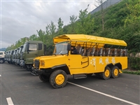 敞篷观光车价格及图片