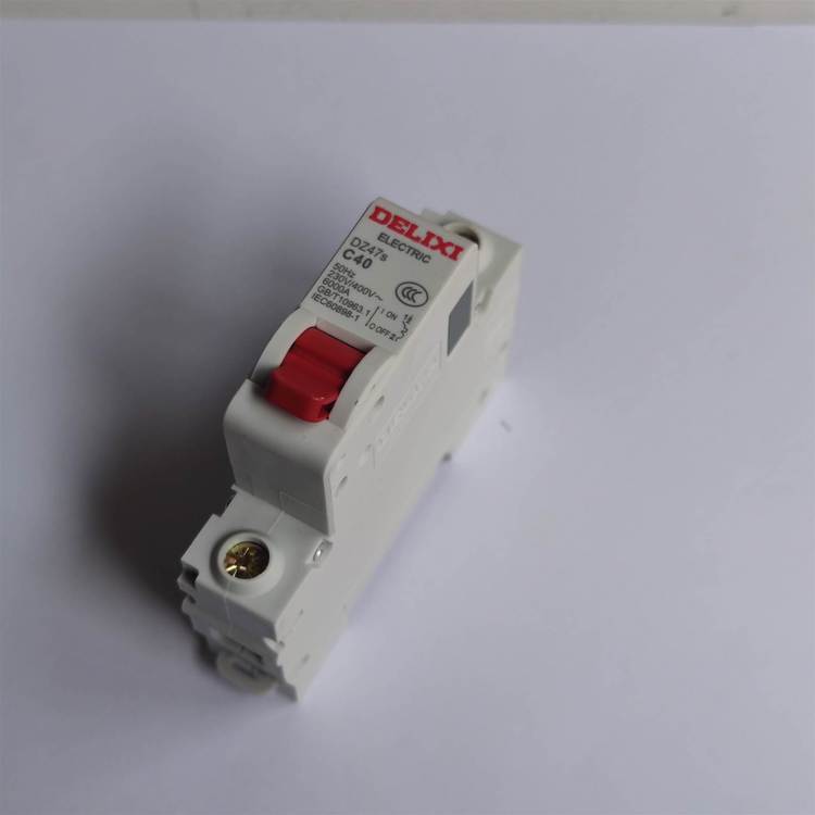 德力西断路器 小型家用终端配电箱轨道式开关DZ47S 1P C20