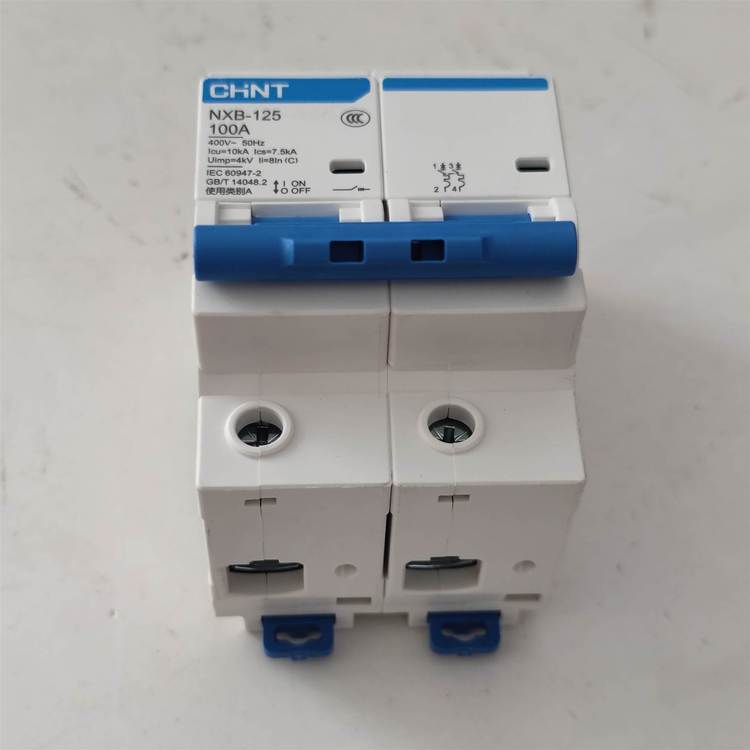 正泰断路器NXB-125 2P 100A 昆仑系列家庭配电箱空气开关
