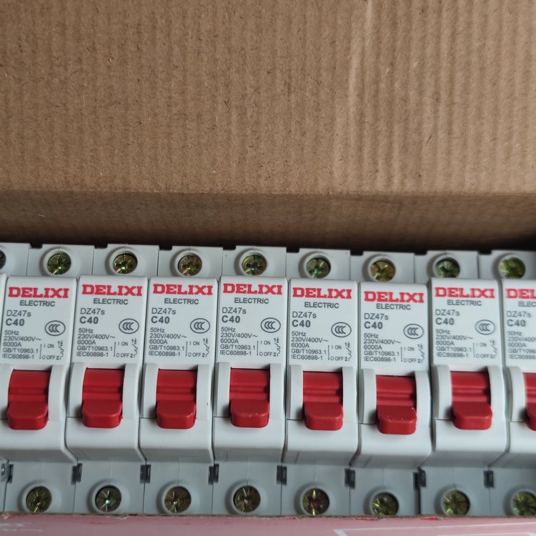 德力西断路器 小型家用终端配电箱轨道式开关DZ47S 1P C16