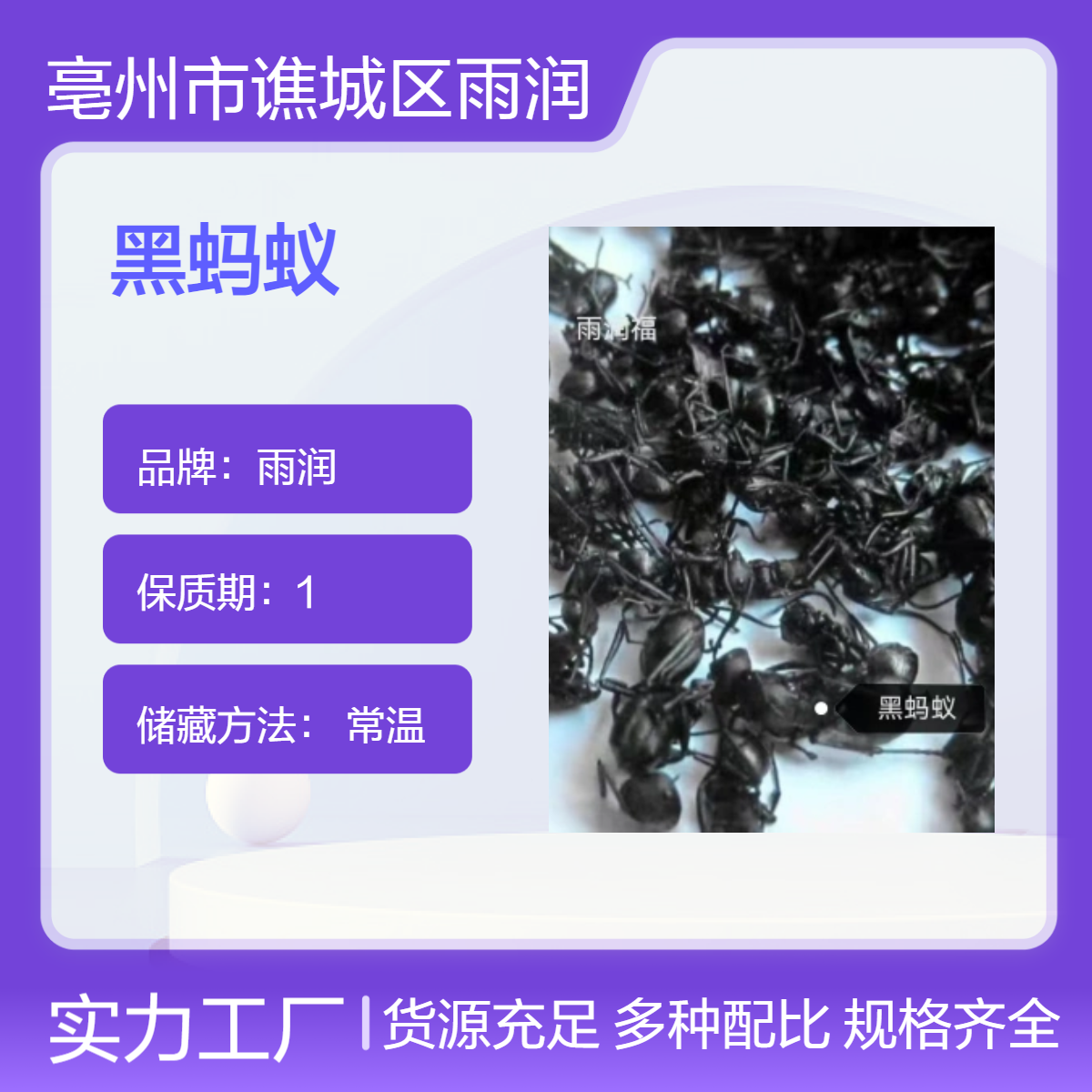 中草药黑蚂蚁 精选干净无添加含量高产地批发