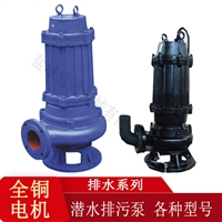 潜水泵1寸220V小型抽水泵 吸水高扬程清水污水泵