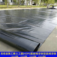 广东2.0mmHDPE防渗膜 GH-1型