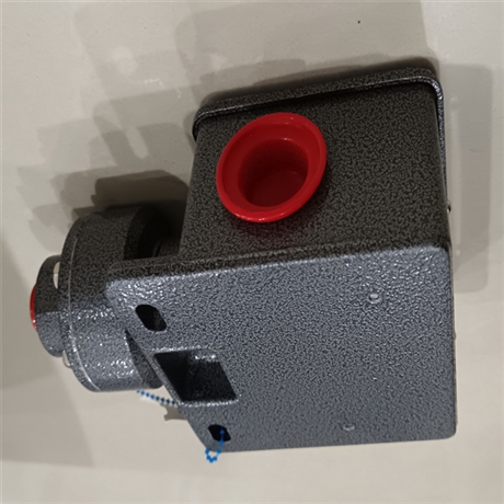 SOR不锈钢压力开关1NN-EE45-M4-C2A