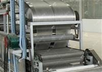 丽星日产3吨大型粉皮机粉片机设备 适合办厂使用 