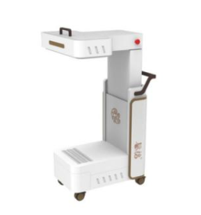 隔物灸治疗仪BQ-GWJ-2