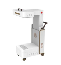 隔物灸治疗仪BQ-GWJ-2