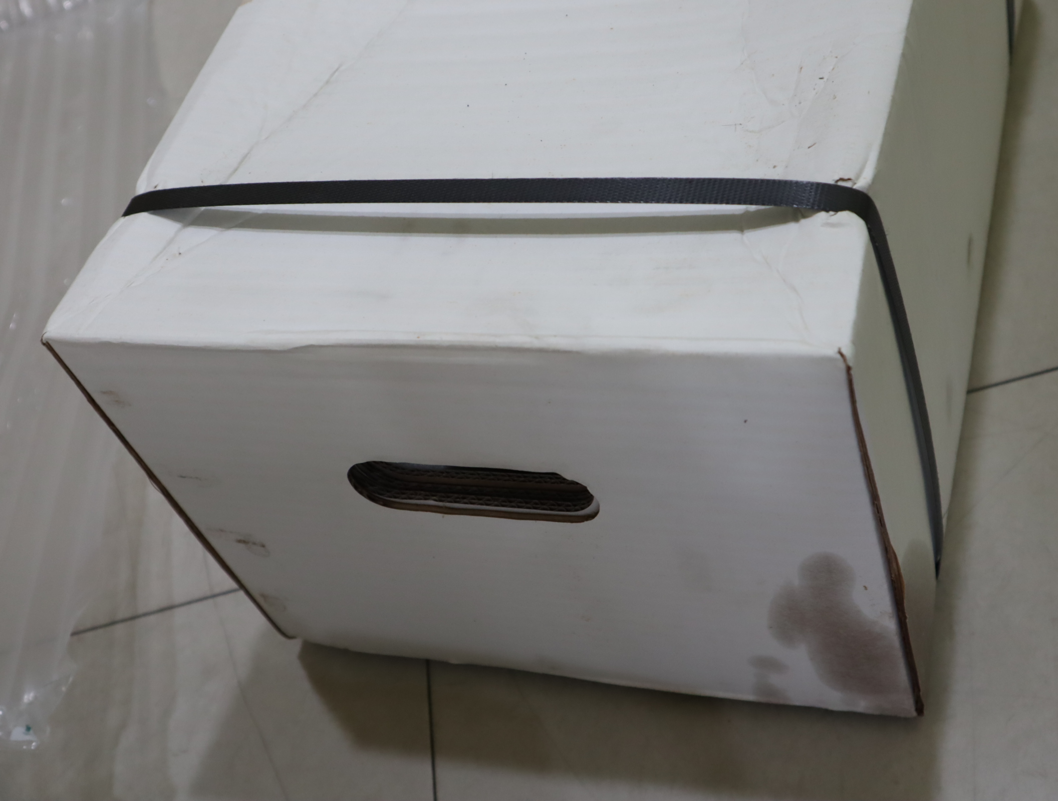 F12-110-MS-SV-S-000-0000-P0 3781549 美国派克PARKER马达