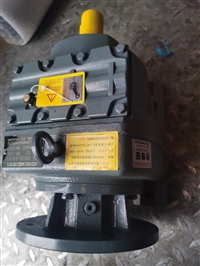 XLEDY8115A摆线减速电机XLEDY8115A-493-0.55KW代号