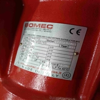 BOMEC电机 T4G/150/4振动器