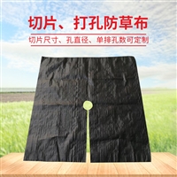 西藏pet盖草布 遮草布樱桃园
