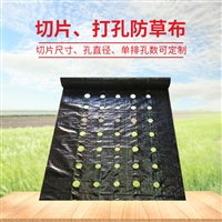 南京市80+90克pp防草布火龙果