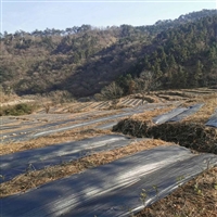遵义市9米宽pe120克花卉基地防草布蓝莓种植