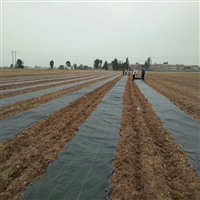 广安市pe85克花卉基地防草布火龙果