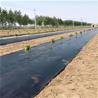 湘潭市9米宽pe120克花卉基地防草布规格型号
