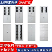 深圳文件柜 铁皮办公资料文件柜 财务凭证档案柜 二斗铁皮柜定制