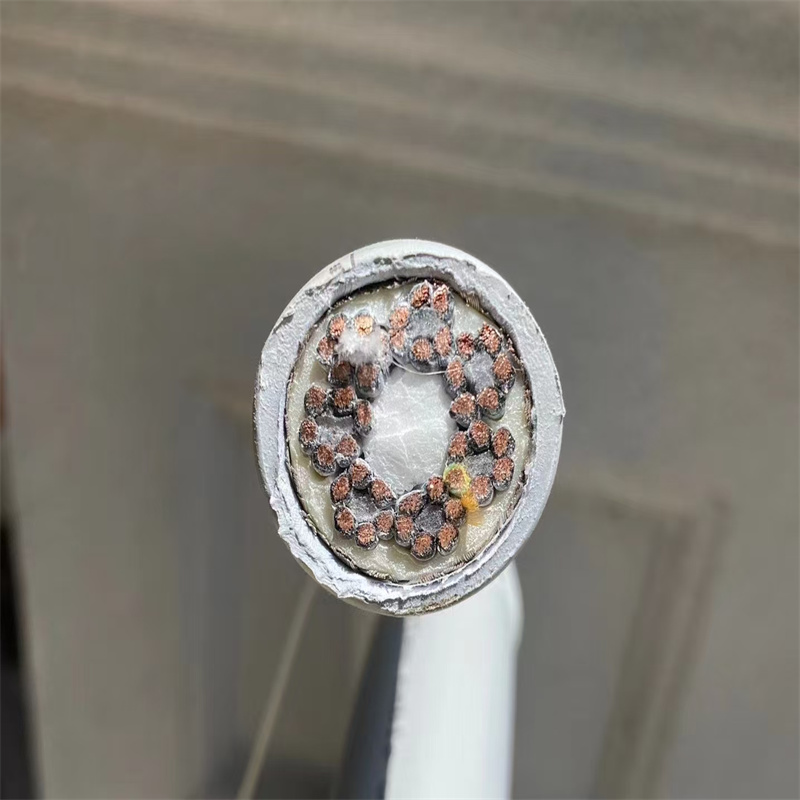 LAPP电缆 国标铜芯拖链网线