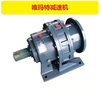 XWEY63立式卧式可选哪些摆针减速机XWEY63-289