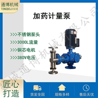 大流量高扬程可调节计量加药柱塞泵可定制