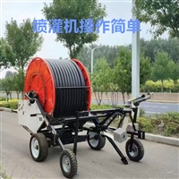 农用卷盘式喷灌机 自动浇地淋灌机大型多喷头 移动式灌溉设备