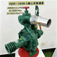 丰燕260型高压离心泵 喷灌滴灌农用流量180方扬程100米