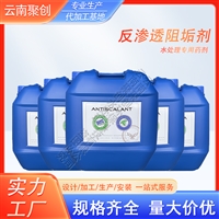 蓝旗反渗透阻垢剂 锅炉电厂纯水机反渗透膜专用 水处理缓蚀除垢剂