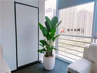 西安嘉禾苗圃花卉租赁公司