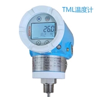 TML数字温度计ULFA