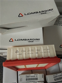 意大利隆巴蒂尼LOMBARDINI发动机及配件LDW2004,15LD440,15LD350