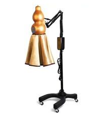 电热灸仪TJ-RSKJ-L01