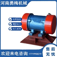 以振动电机为激振源 料仓防闭塞装置 电机仓壁振打器