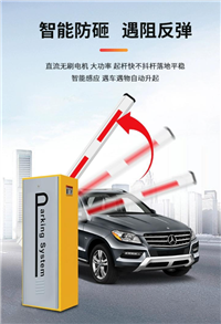 龙岩车牌识别道闸收费系统上门安装服务