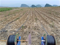 广西糖料蔗滴灌水肥一体化灌溉 南宁广顺老牌公司职业设计安装