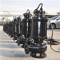 WQB市政排污泵380V污水泵化工厂排水泵