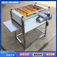 小型粽叶清洗机 芭蕉叶清洗设备 自动竹叶清洗设备