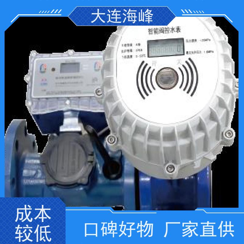 大连海峰 4G无线远传 超声波水表 农业灌溉城市供水 定制开发
