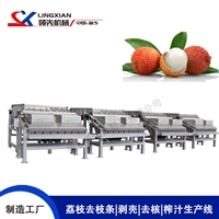荔枝去皮机、去核机、榨汁机 HPP荔枝果汁设备