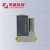 LF-A010气体质量流量计