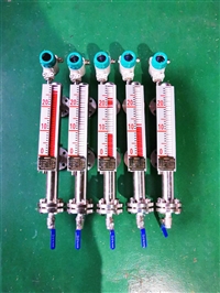 津制 磁翻板液位计  顶部安装 水处理行业