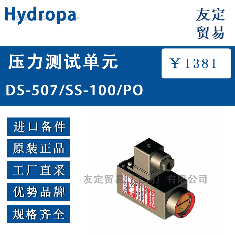 Hydropa DS-507/SS-100/PO压力测试单元
