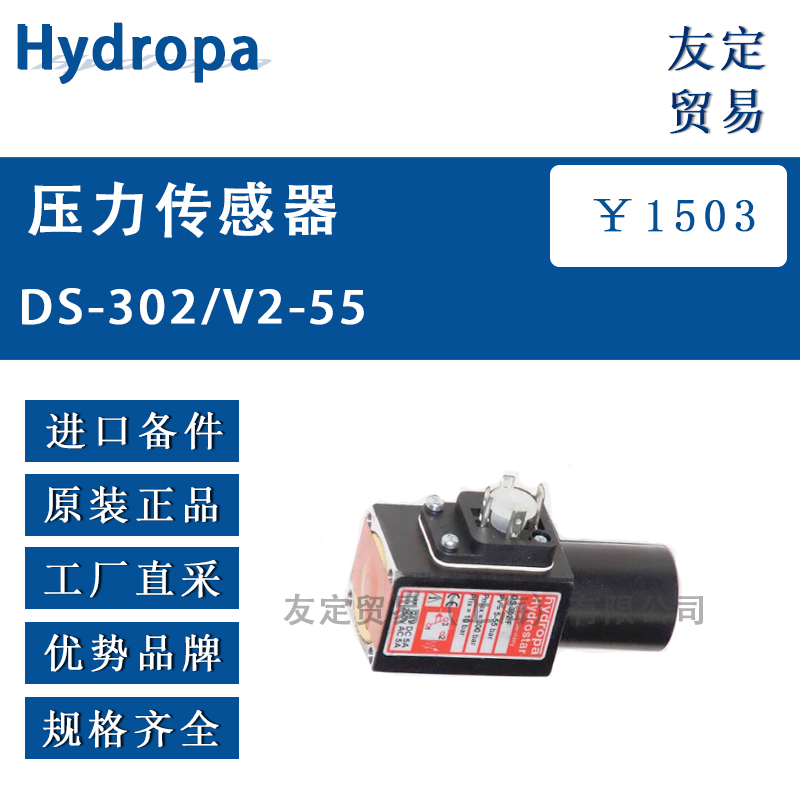 Hydropa DS-302/V2-55 压力传感器